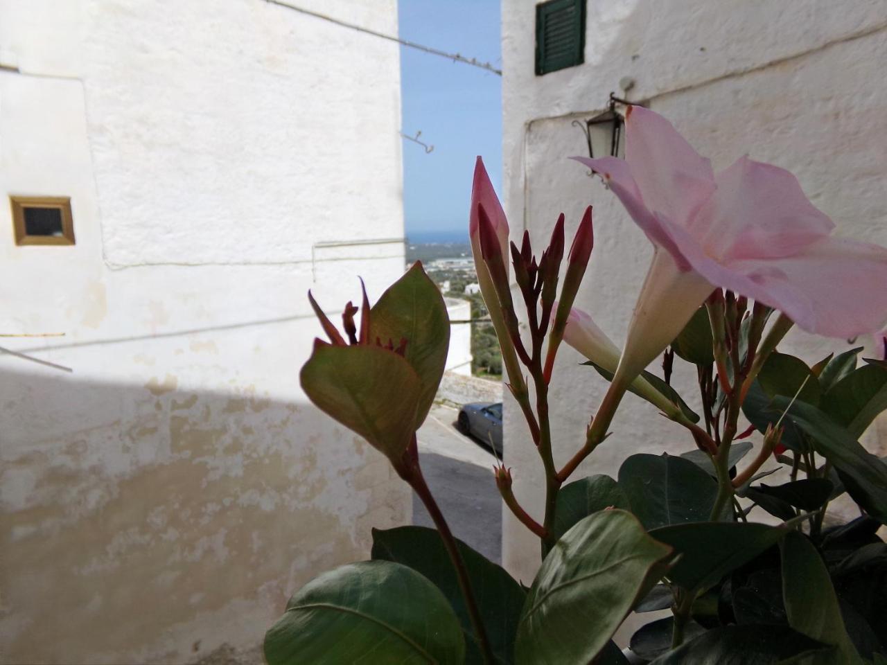 Le Tre Volte Villa Ostuni Buitenkant foto